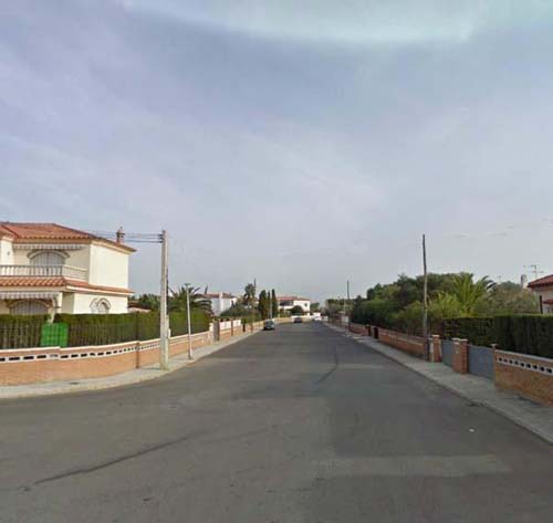Palmeres_2